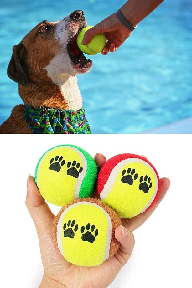CLZ303  3lü Renkli Desenli Tenis Topu Kedi Köpek Oyuncağı - 7