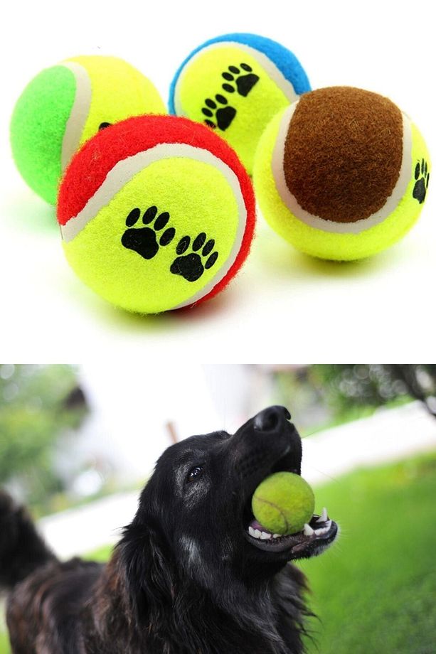 CLZ303  3lü Renkli Desenli Tenis Topu Kedi Köpek Oyuncağı - 5