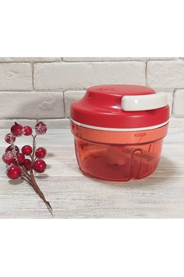 Chef Small Size Chopper - 1