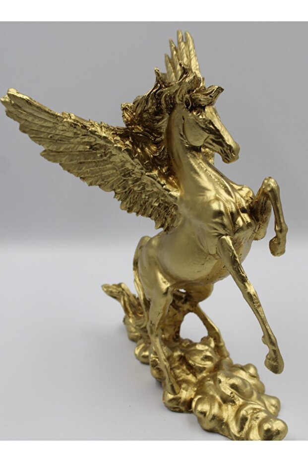 Kanatlı Pegasus - 3
