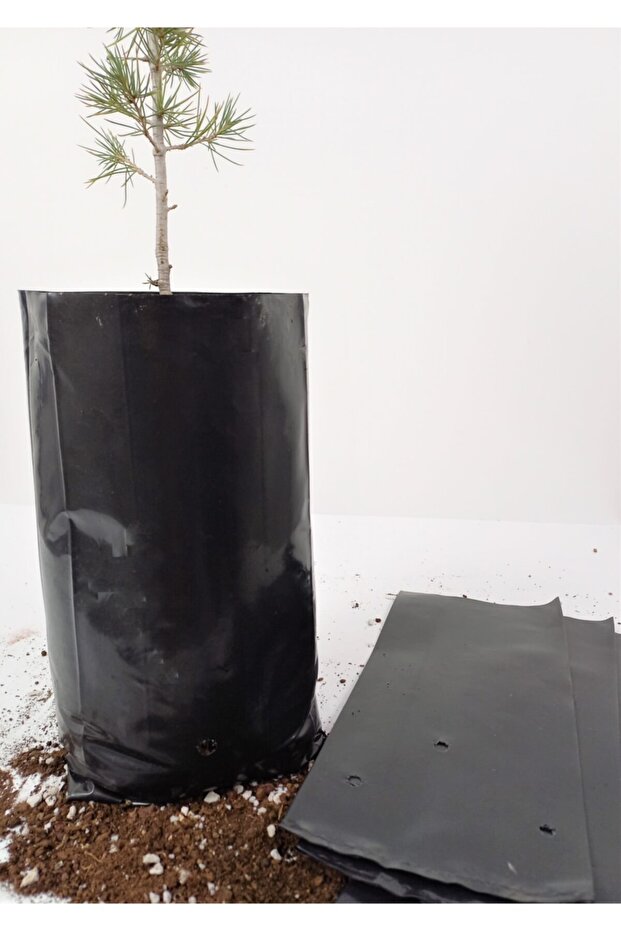 Fidan Poşeti 22x40 Cm 1 Kg Fide Torbası Fidan Torbası - 2