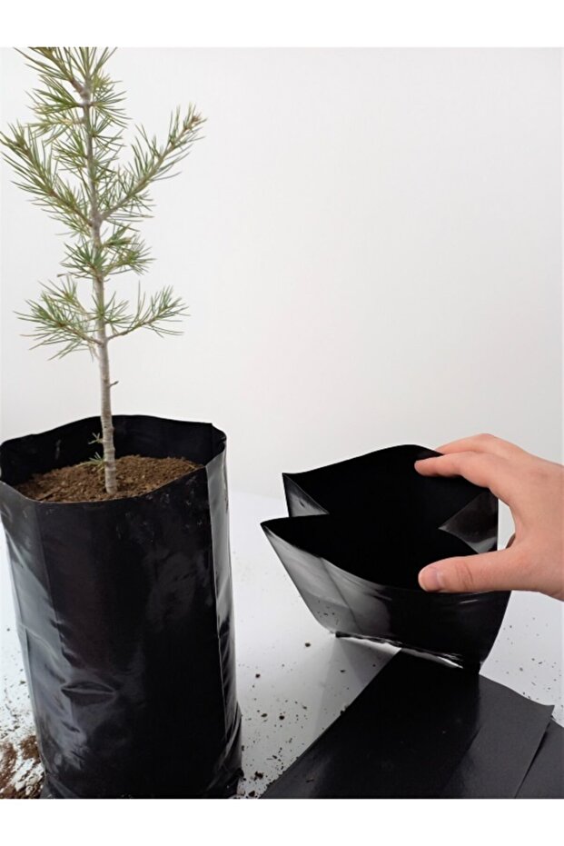Fidan Poşeti 22x40 Cm 1 Kg Fide Torbası Fidan Torbası - 3