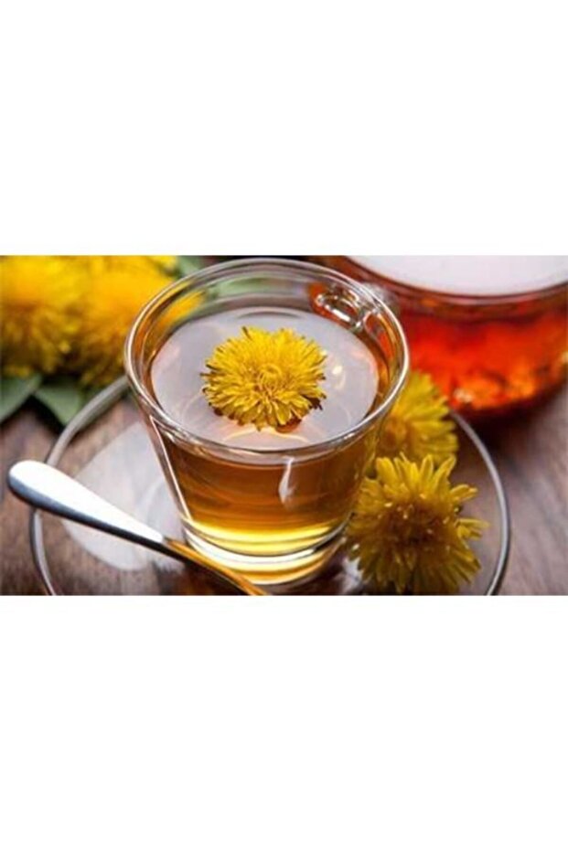 الهندباء 100 جرام - 1