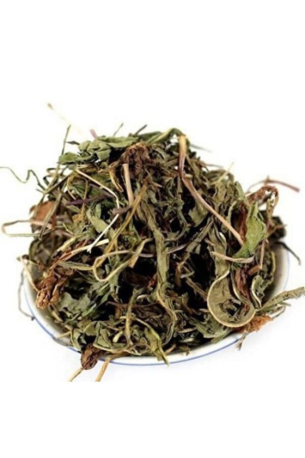 الهندباء 100 جرام - 2