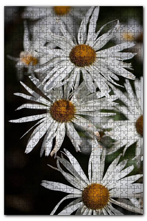 Cakasepetim Giant White Daisies 1000 Piece Puzzle Jigsaw Puzzle Mdf (Wood)