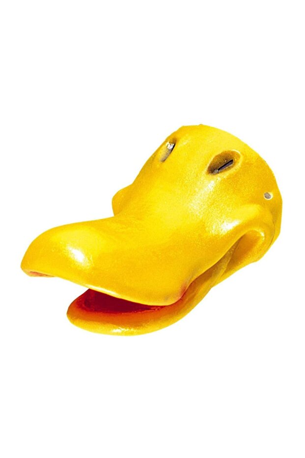 Ördek Burun