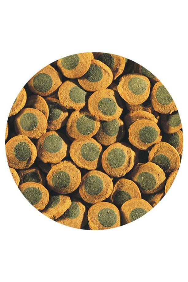 Pleco Spirulina Algae Wafers Vatoz Dip Balık Yemi 100 Gr. - 2