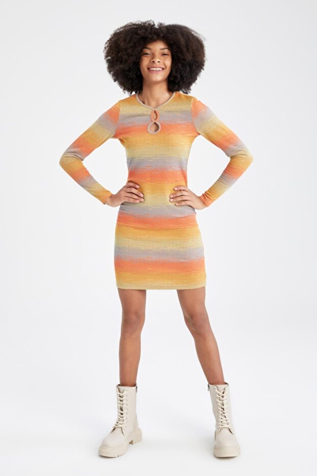 Bodycon طاقم الرقبة منقوشة فستان طويل الأكمام البسيطة