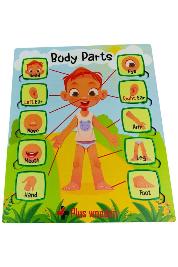Find And Plug English Educational Children's Toy Puzzle Jigsaw Body Bodies