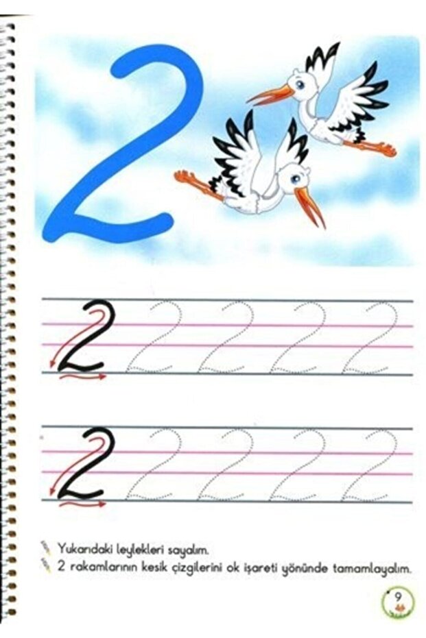 Buzz Buzz Training Set with Buzz Buzz - 4