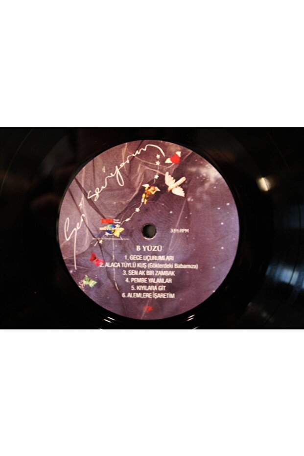 Ilhan Irem - Seni Seviyorum - 4