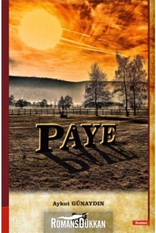 Paye - - Aykut Günaydın