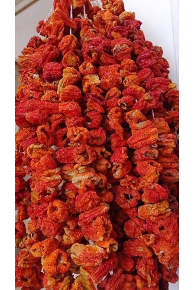 Kuru Dolmalık Biber - 1