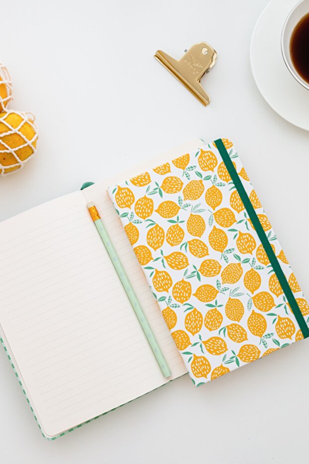 2 Notebook Set 13x21 Rubberized Striped Lemon - 4