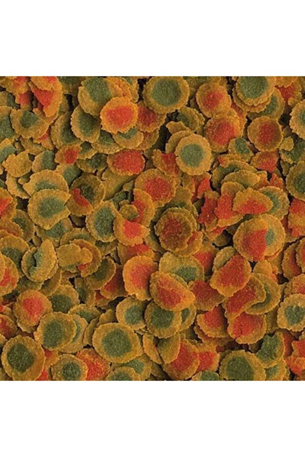 Pro Energy Cips 1000gr (açık) - 4