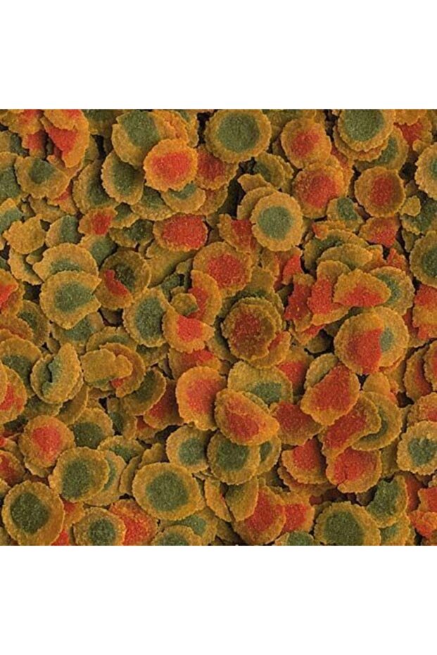 Pro Energy Cips 1000gr (açık) - 6