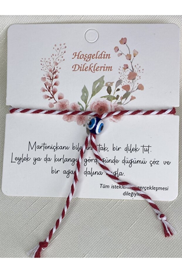 سوار مارتينيكا