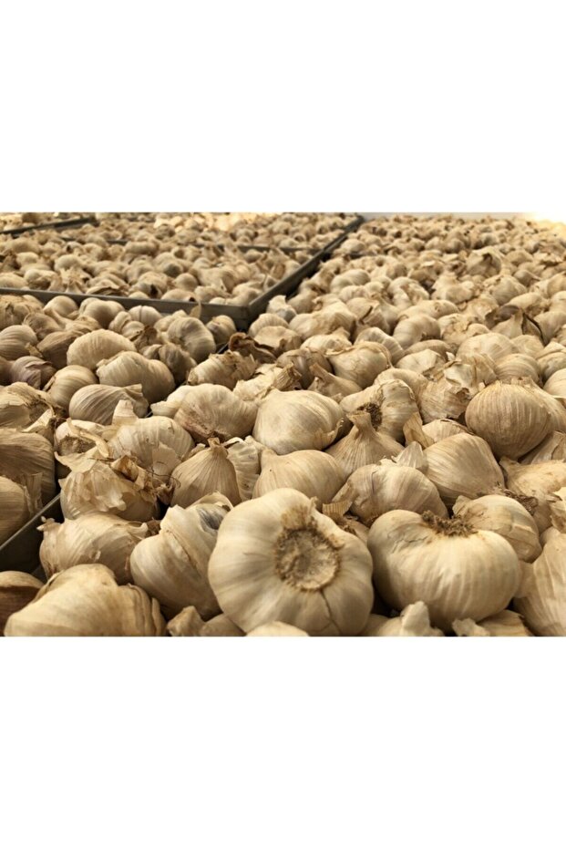 Siyah Sarımsak 1 Kg - 3