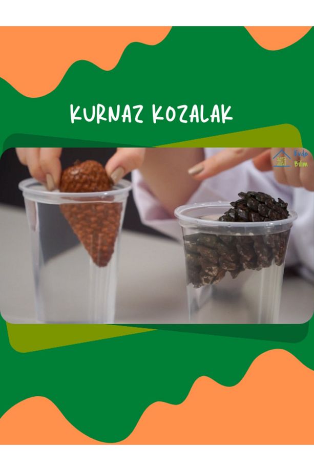 Deneyim Kutusu – Doğa Atölyesi Deney Seti - 6