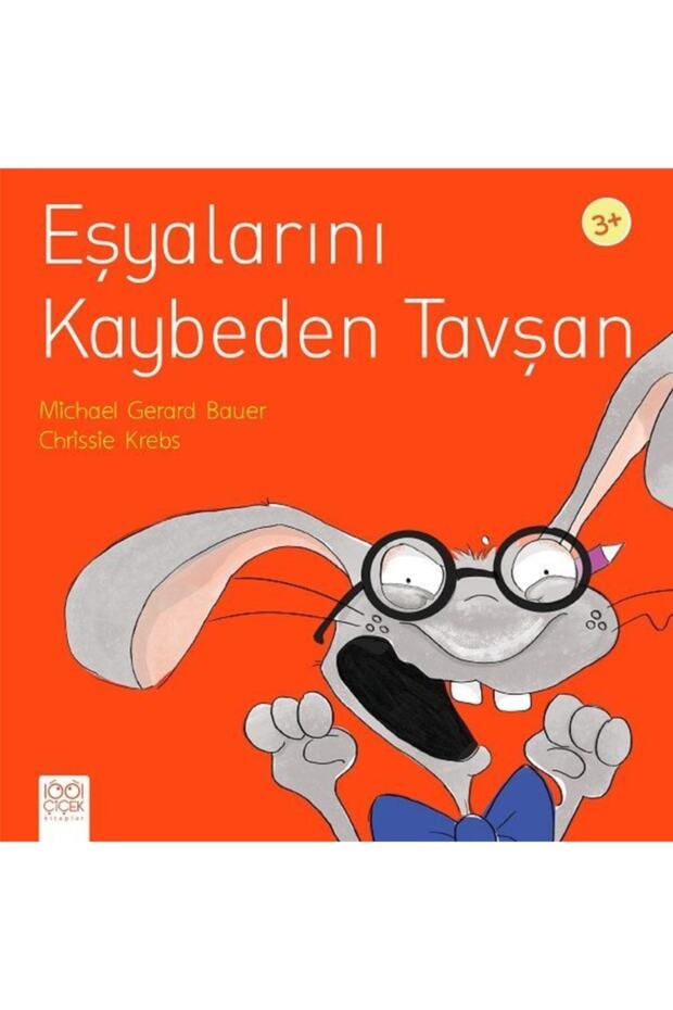 The Rabbit Who Lost His Stuff 3