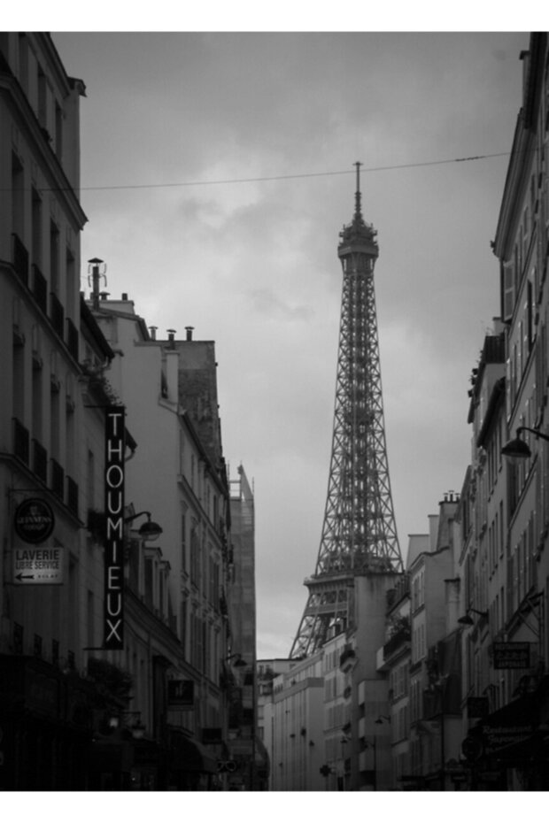 Paris Painting Wooden Poster Decorative