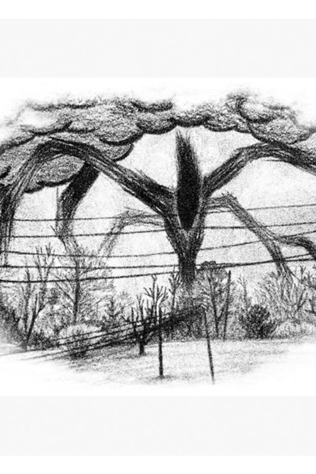 Will Drawing (stranger Things) Tablo Ahşap Poster Dekoratif - 1