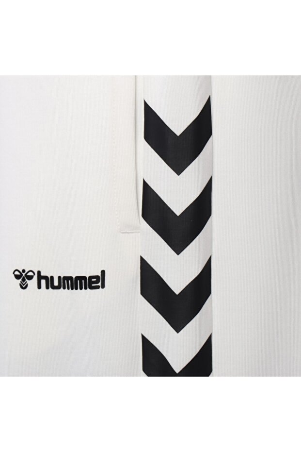 Falconzo Erkek Şort - 4