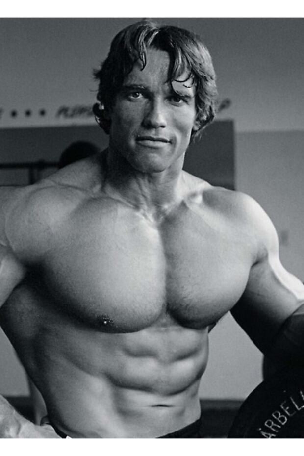 Arnold Schwarzenegger Painting Wooden Poster Decorative