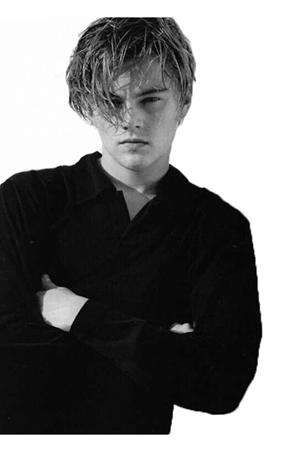 Leonardo Dicaprio Painting Wooden Poster Decorative