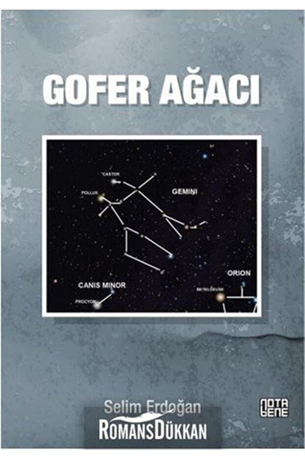 Gofer Ağacı