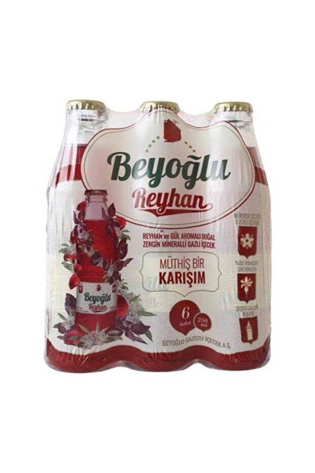 Gazoz Reyhan 6x250 ml - 1