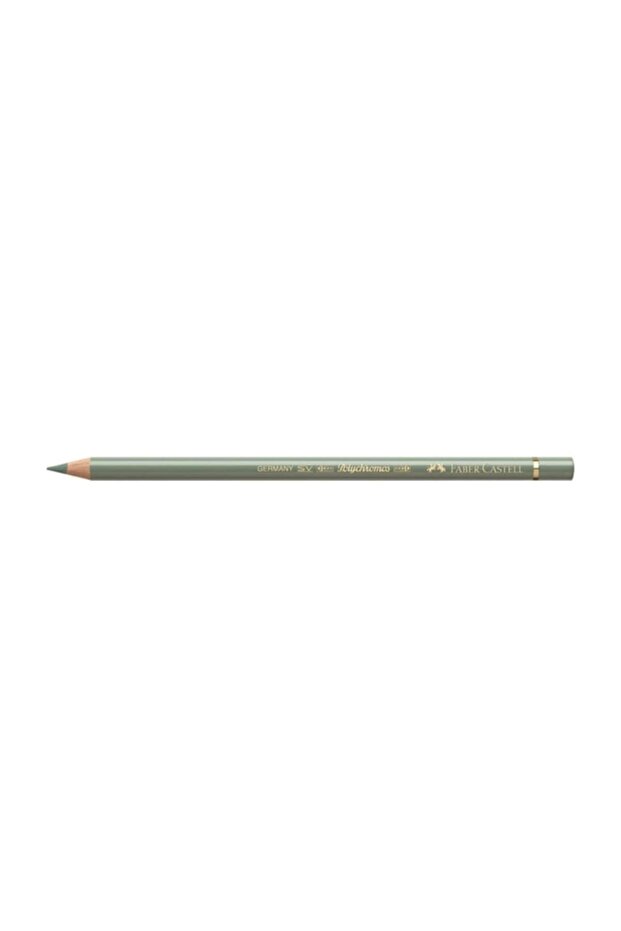 قلم طلاء جاف للفنانين من Polychromos 172 أخضر ترابي