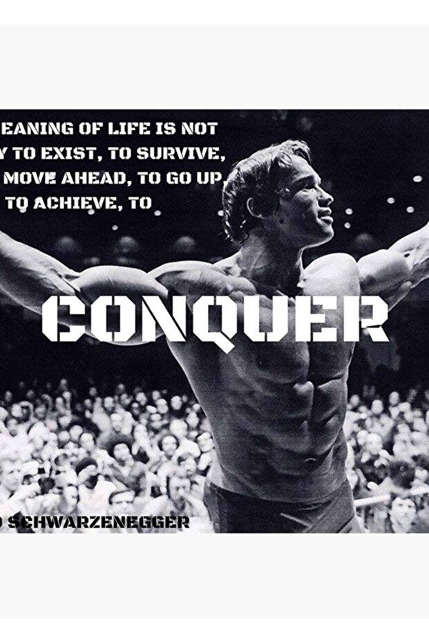 Arnold Schwarzenegger - Conquer Quote Painting Wooden Poster Decorative