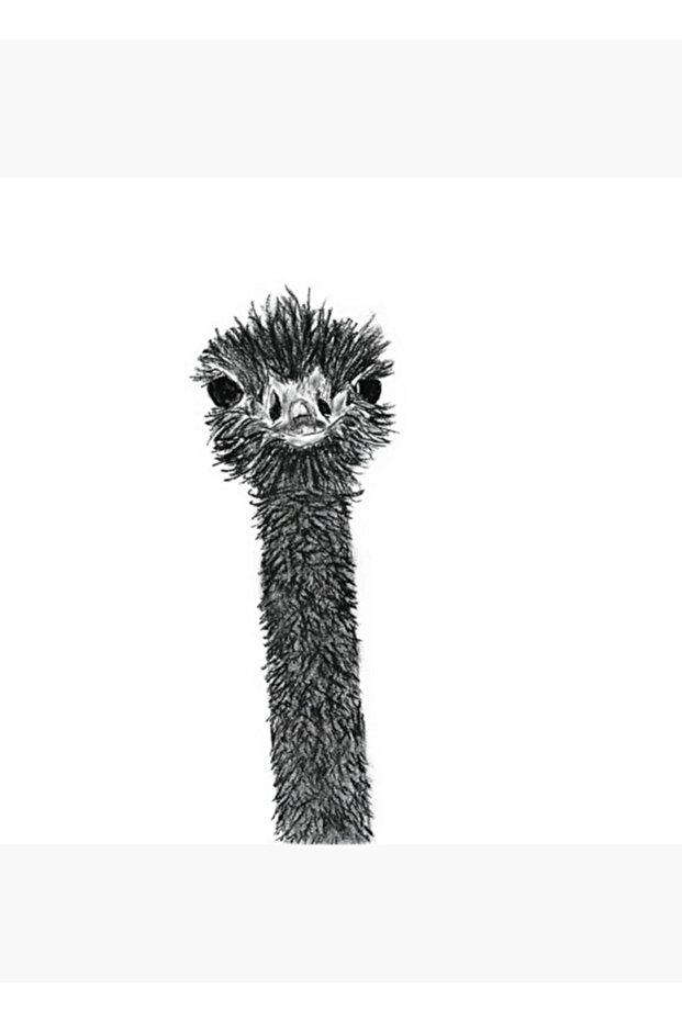 Jasper Ostrich Painting Wooden Poster Decorative