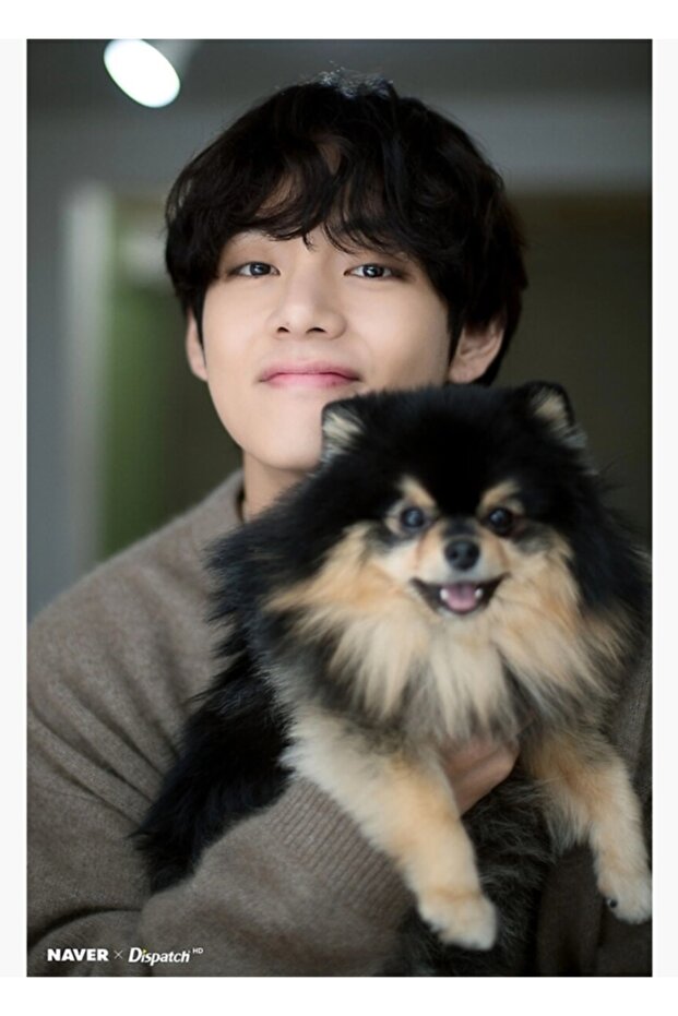 Bts Taehyung (v) وYeontan لوحة خشبية ملصق ديكور Code1440