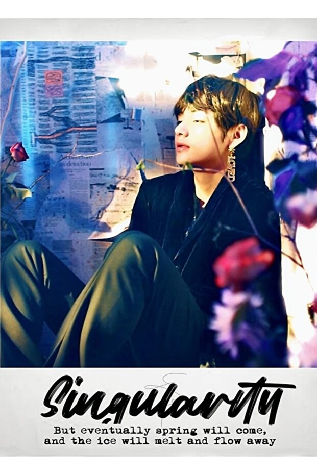 Bts V Singularity Polaroid Painting Wooden Poster Decorative Code1996
