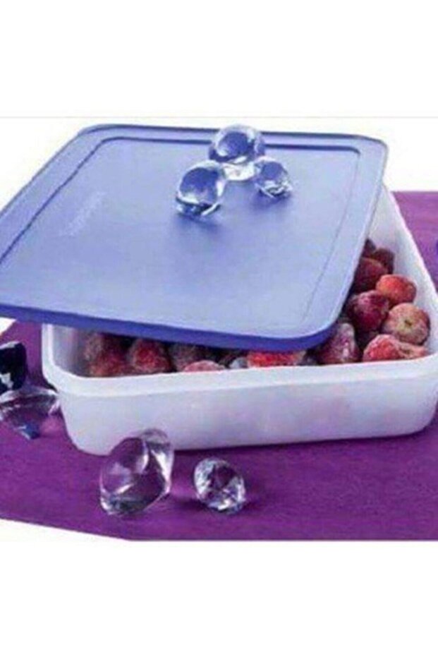 Purple White Alaska Series Deep Freezer Storage Container 2.25 Lt