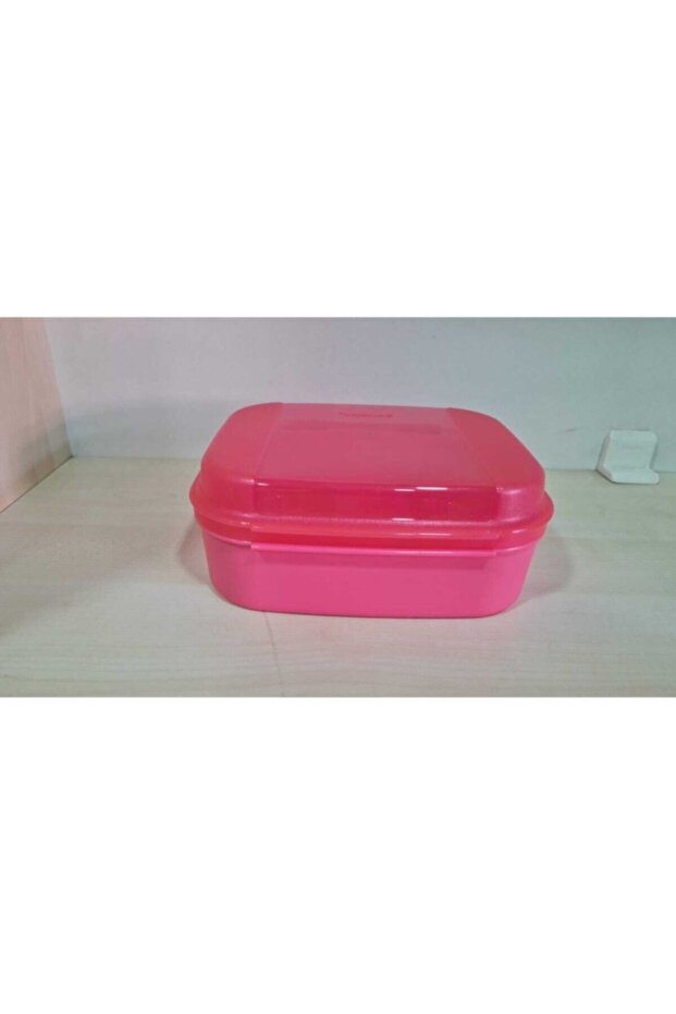 F20 Mini Saklama Kabı Pembe - 1