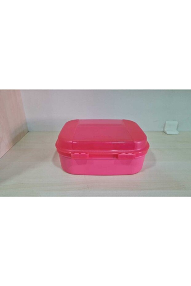 F20 Mini Saklama Kabı Pembe - 2