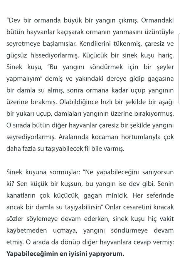Sinek Kuşu Uras Küpe Gümüş - 3
