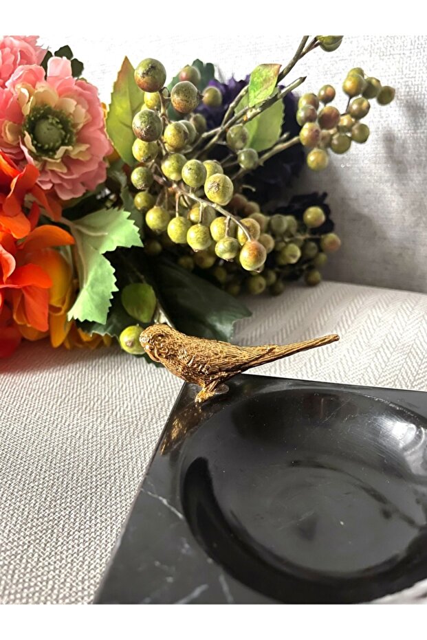 Kanarya Pro Küllüğü - 3