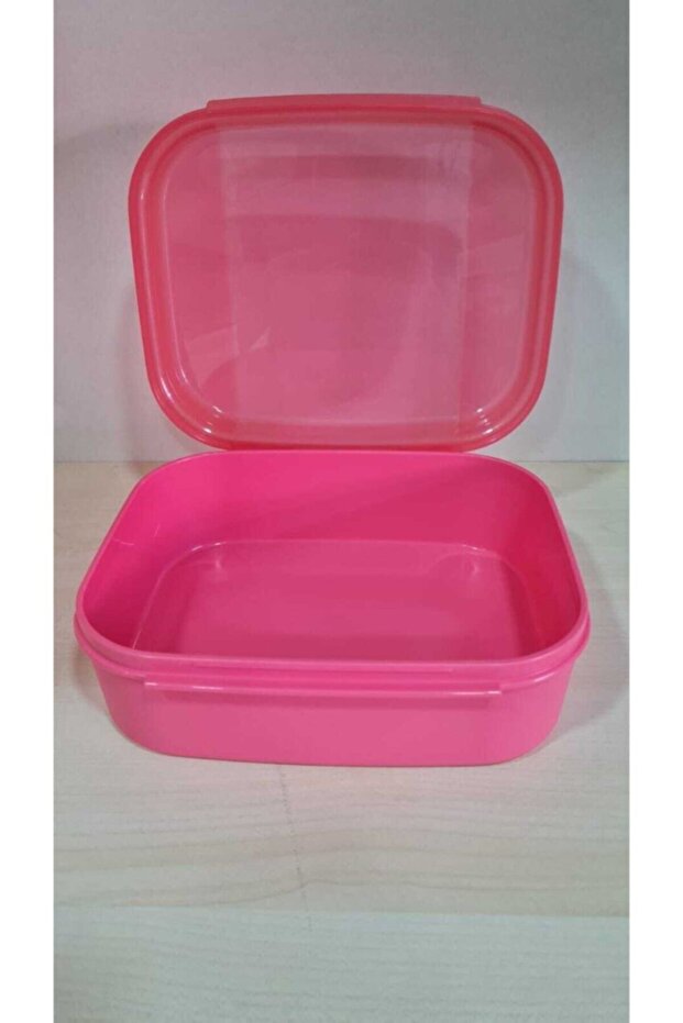 F20 Mini Saklama Kabı Pembe - 4