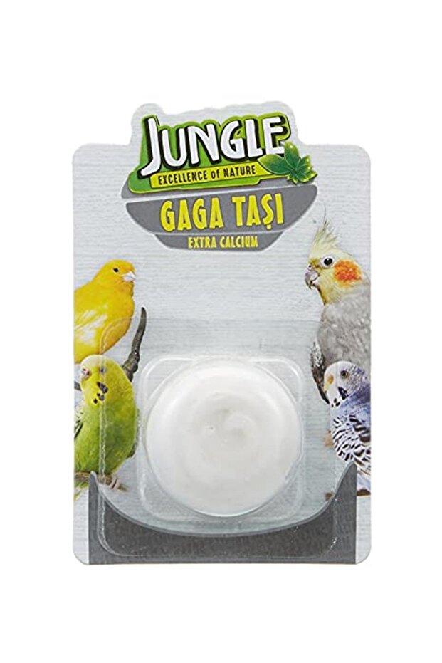 Gaga Taşı