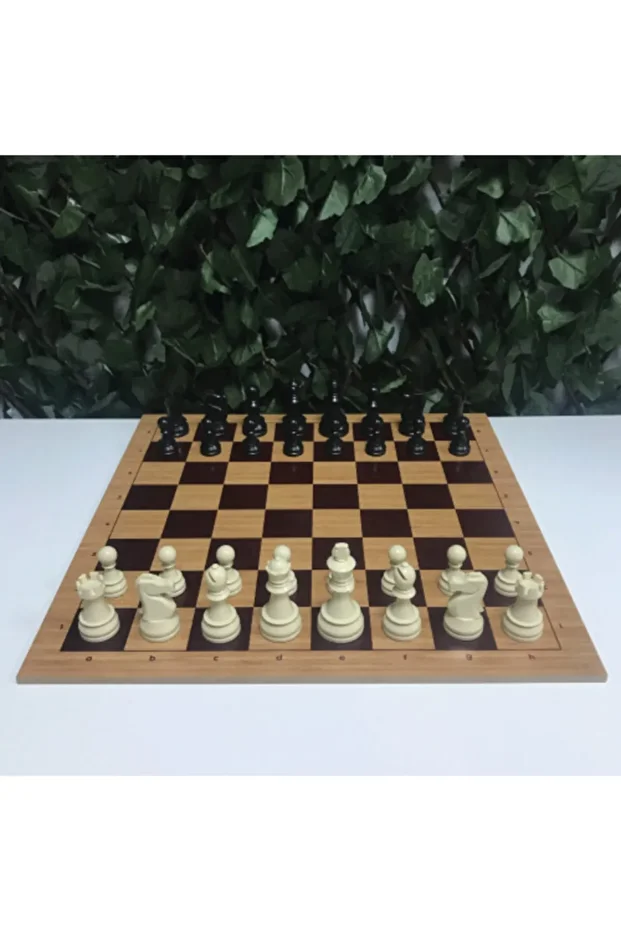 Dgt Taşlı Ahşap Satranç Takımı - 1