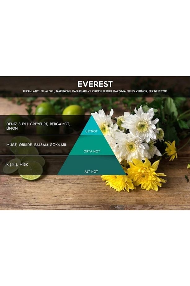 Cosmic M5 Koku Makinesi Kartuşu Everest - 2