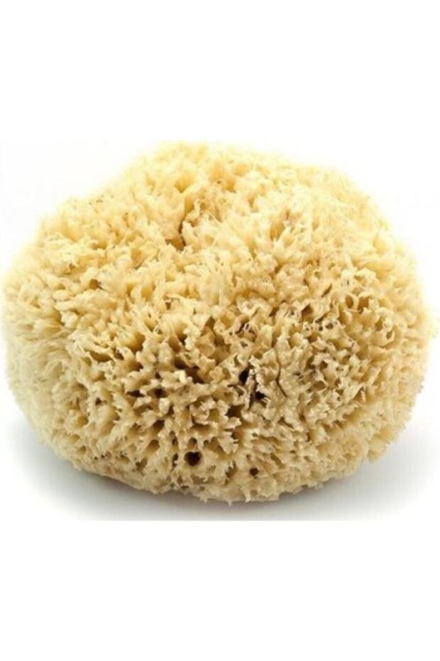 Bath Sponge - 1