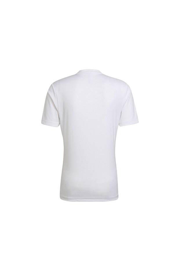 Entrada 22 Forma - 2