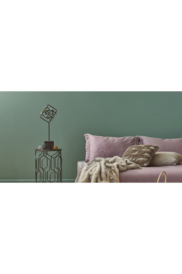 Momento Max Silinebilir Soft Mat Içcephe Duvar Boyası 15 Lt Kaktüs20 - 2