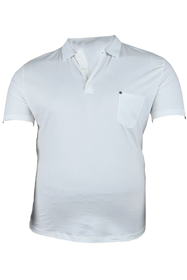 Diorise Large Size Polo Collar Lacoste T-shirt