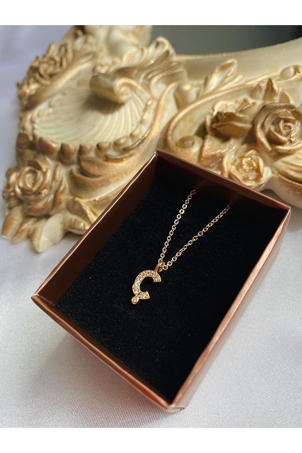 Zirkon Taşlı Minimal Gold Ç Harfli Kolye - 1